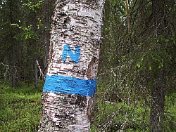 PICT7625.JPG