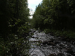 PICT7670.JPG