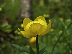 PICT7672.JPG
