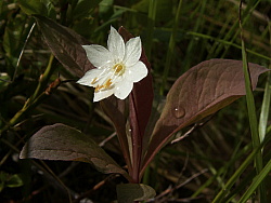 PICT7703.JPG