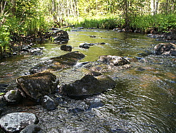 PICT7720.JPG
