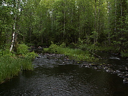 PICT7760.JPG