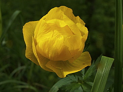 PICT7768.JPG
