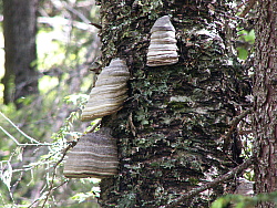 PICT7792.JPG