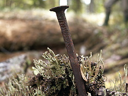 PICT7804.JPG