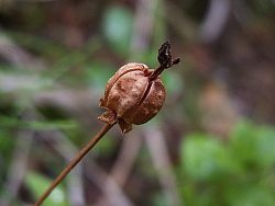 PICT7834.JPG